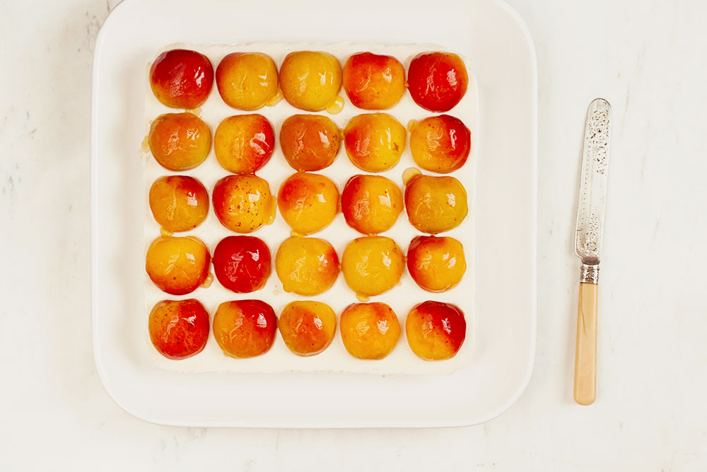 Apricot Bars 1 Apricot Bars 1