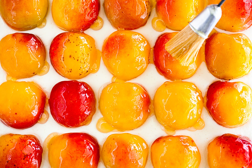 Apricot Bars 2 Apricot Bars 2