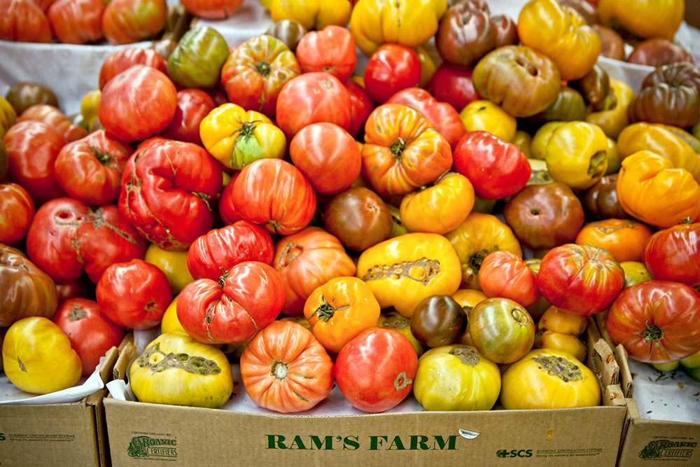 Berkeley Bowl - Tomatoes Berkeley Bowl - Domates