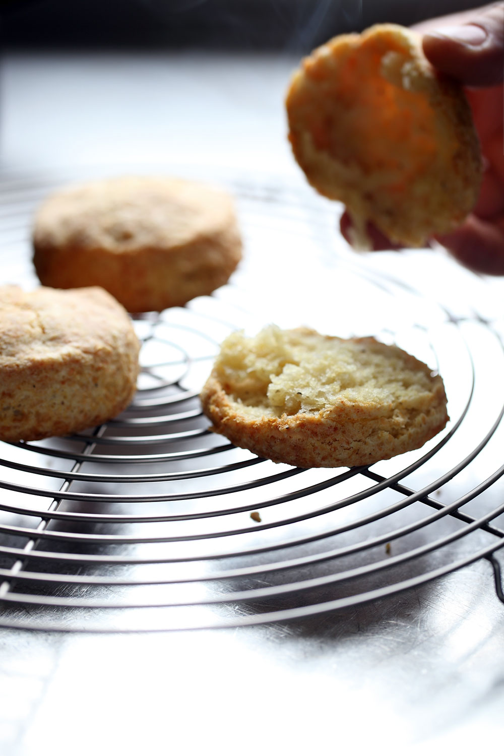 Biscuit Hot Biscuit Hot