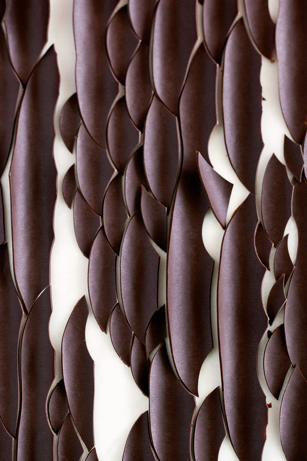 Chocolate Shards Chocolate Shards