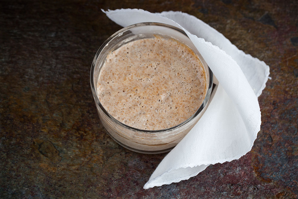 Sourdough Starter - Day 4 Sourdough Starter - Day 4