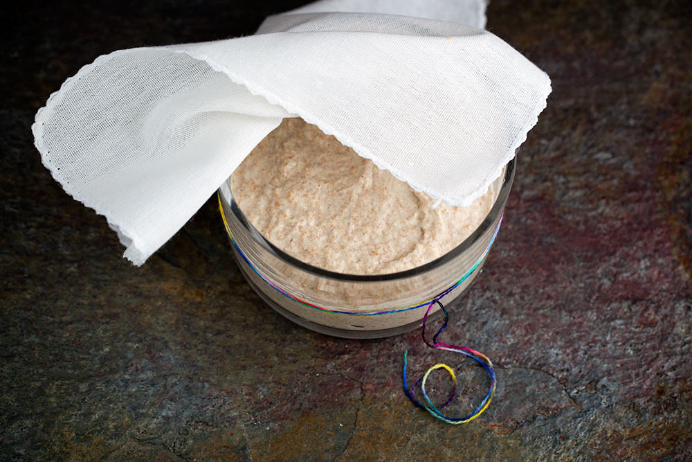 Sourdough Starter Feed - Day 6 Sourdough Starter Feed - Day 6