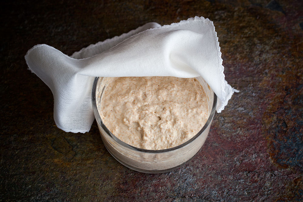 Sourdough Starter Crust Pull - Day 4 Sourdough Starter Crust Pull - Day 4