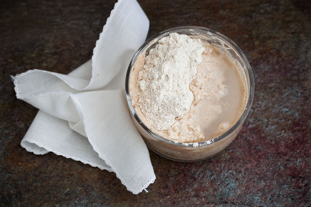 Sourdough Starter Feed - Day 5 Sourdough Starter Feed - Day 5
