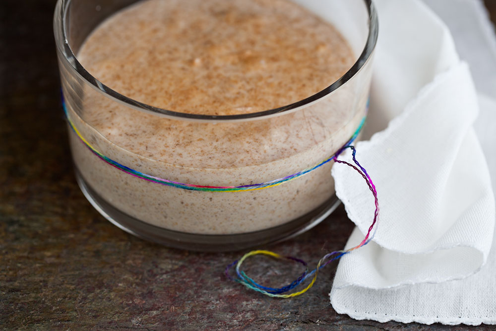 Sourdough Starter - Day 6 Sourdough Starter - Day 6