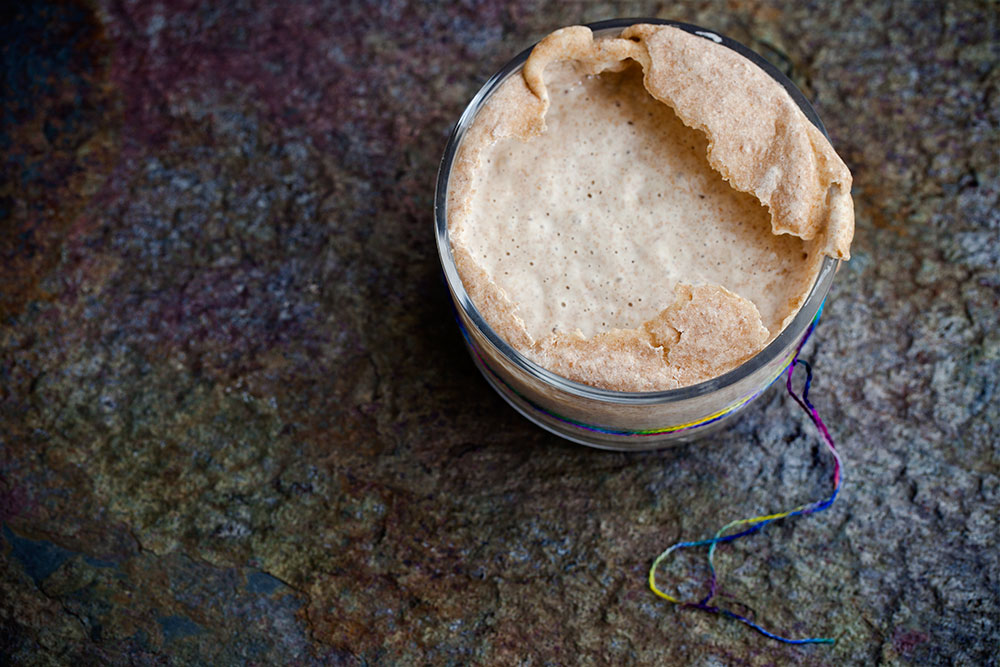 Sourdough Starter Sourdough Starter