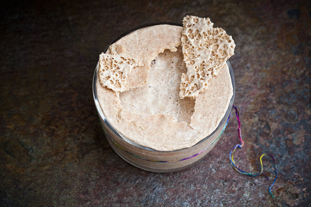 Sourdough Starter Recipe 1 Sourdough Starter Recipe 1