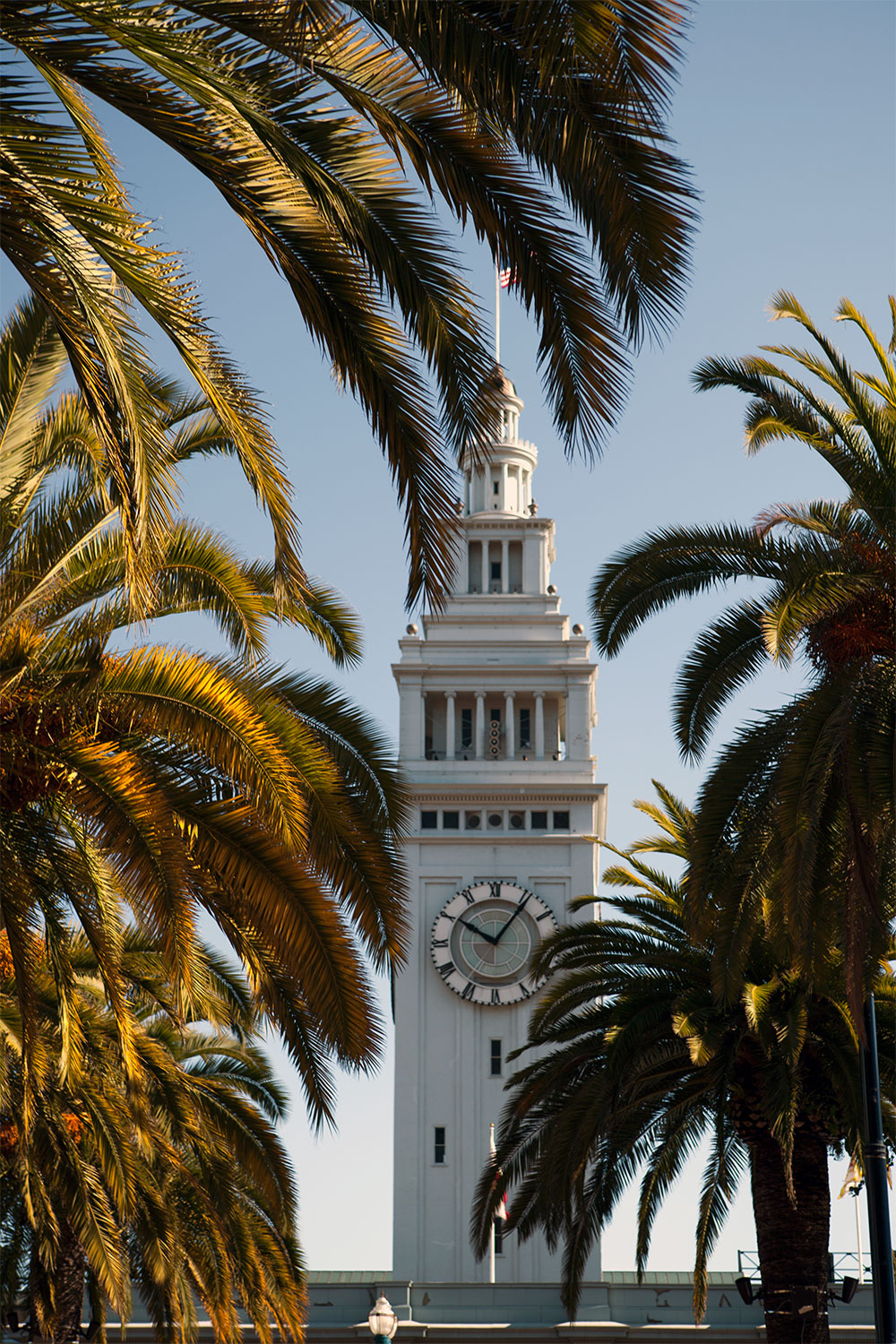 Ferry Plaza Farmers Market Ferry Plaza Farmers Market