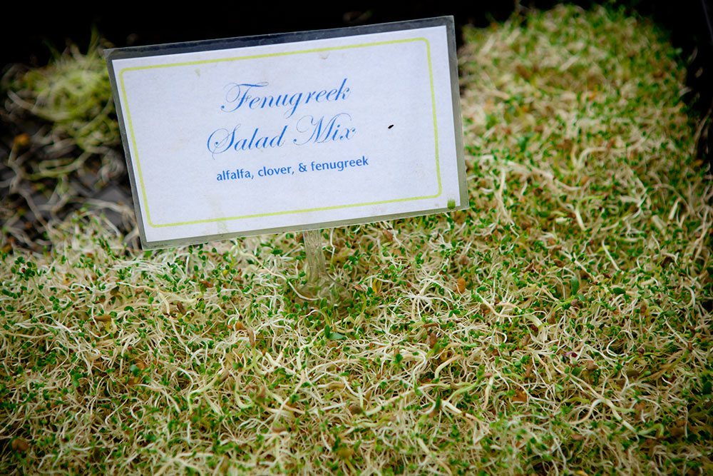 Ferry Plaza Farmers Market 10 Ferry Plaza Farmers Market 10