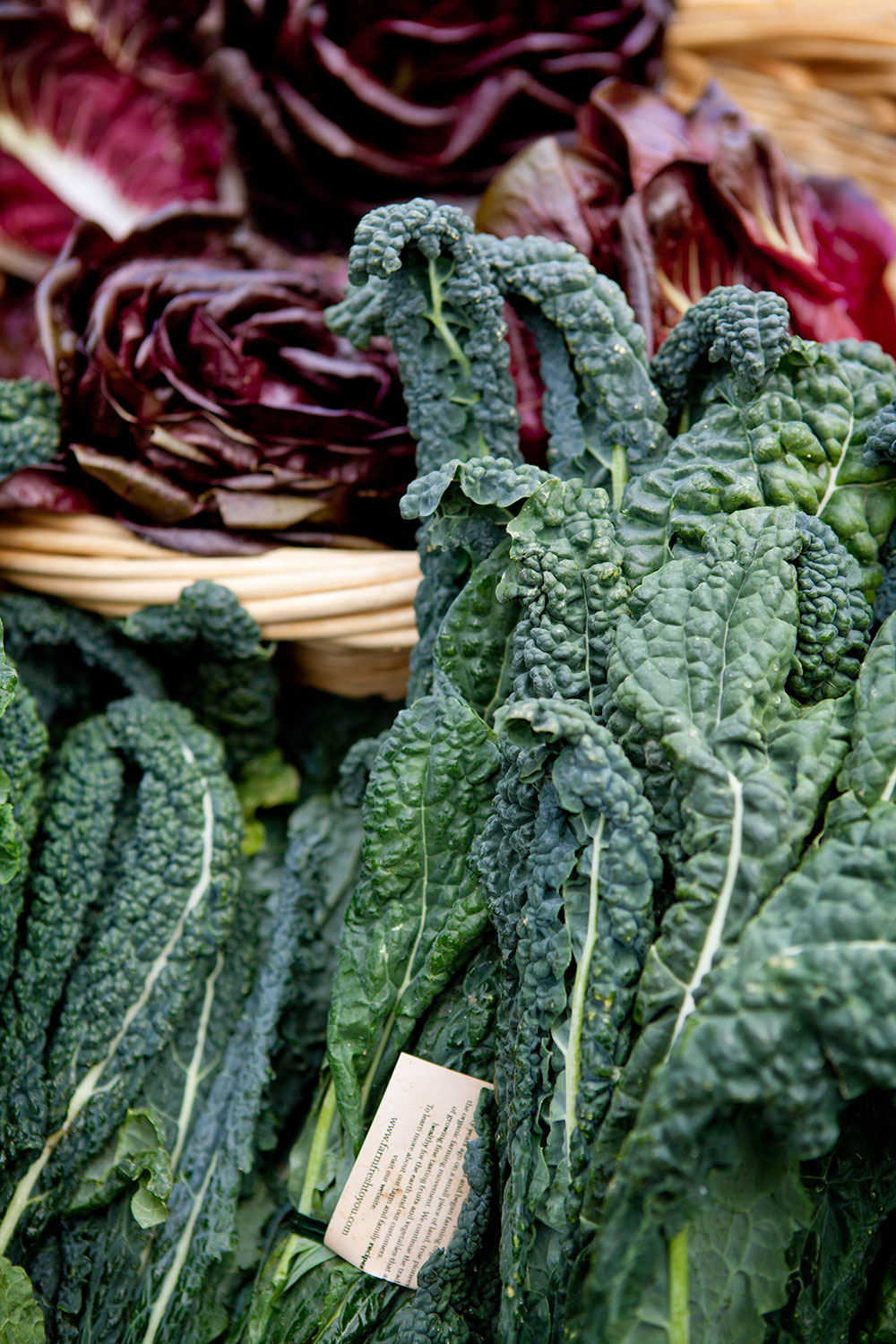 Ferry Plaza Farmers Market 14 Ferry Plaza Farmers Market 14