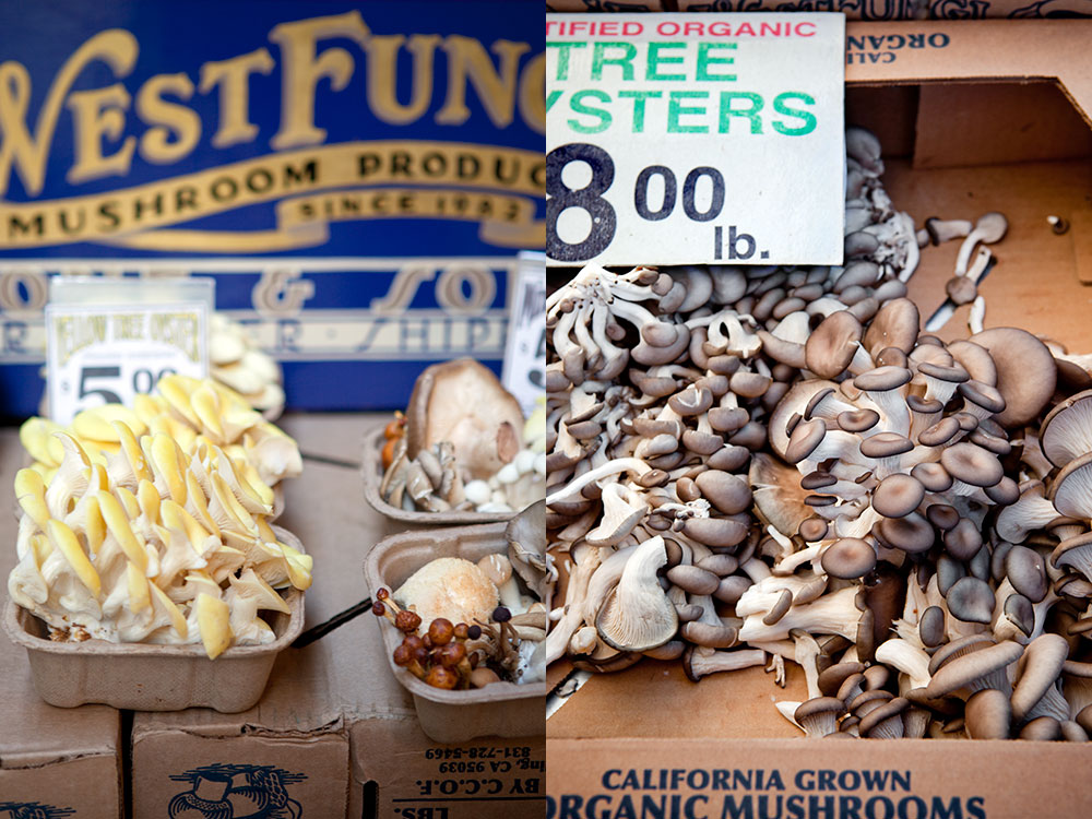 Ferry Plaza Farmers Market 6 Ferry Plaza Farmers Market 6