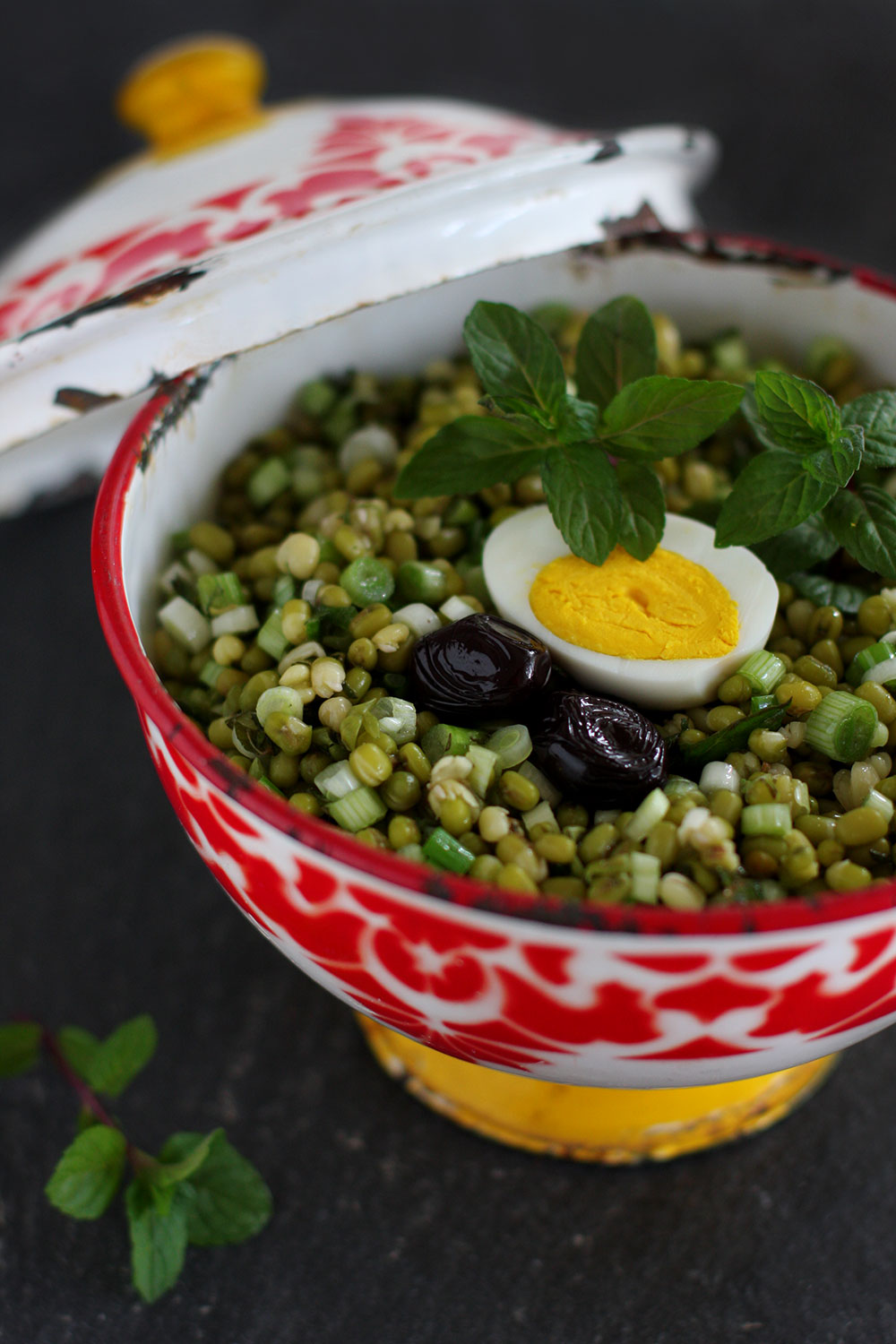 Mung Bean Salad 3 Mung Bean Salad 3