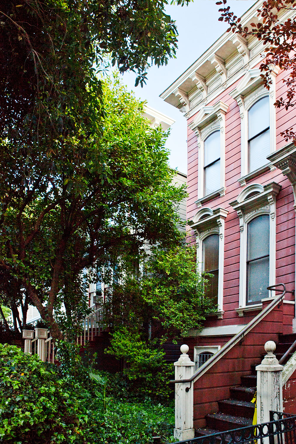 Pacific Heights San Francisco Pacific Heights San Francisco