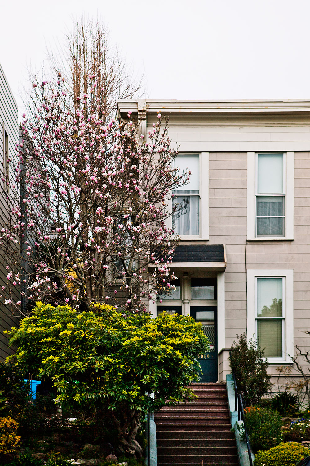 Pacific Heights San Francisco Pacific Heights San Francisco