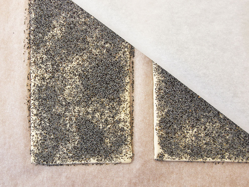 Parmesan Poppy Seed Straws 4 Parmesan Poppy Seed Straws 4