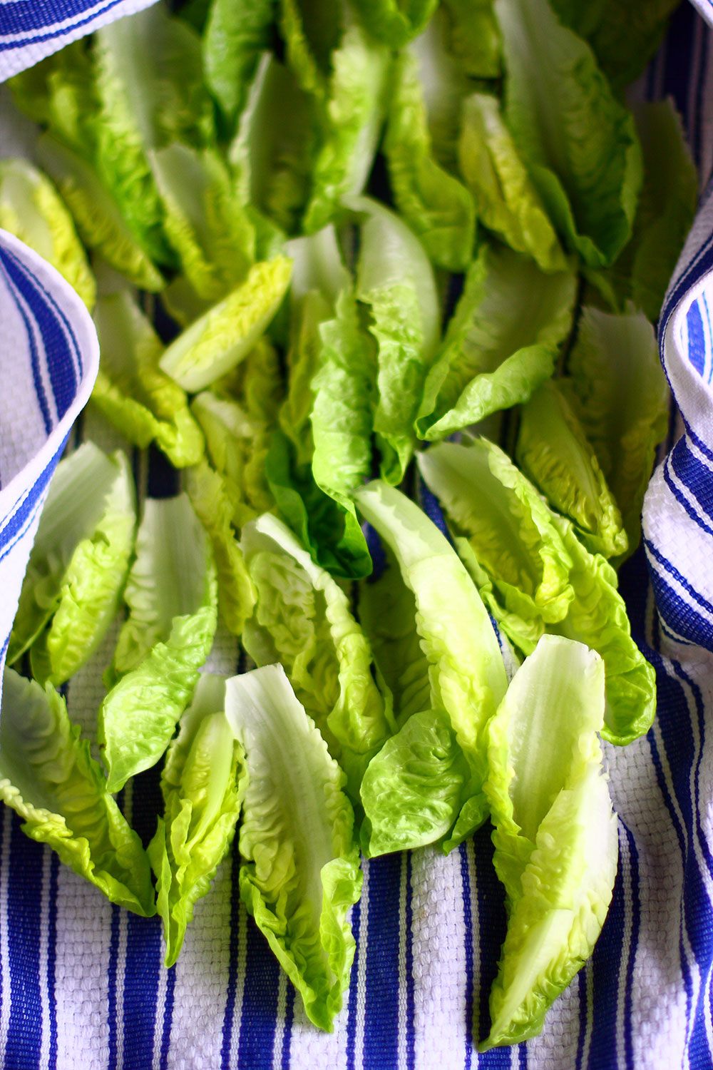 Romaine Hearts 2 Romaine Hearts 2