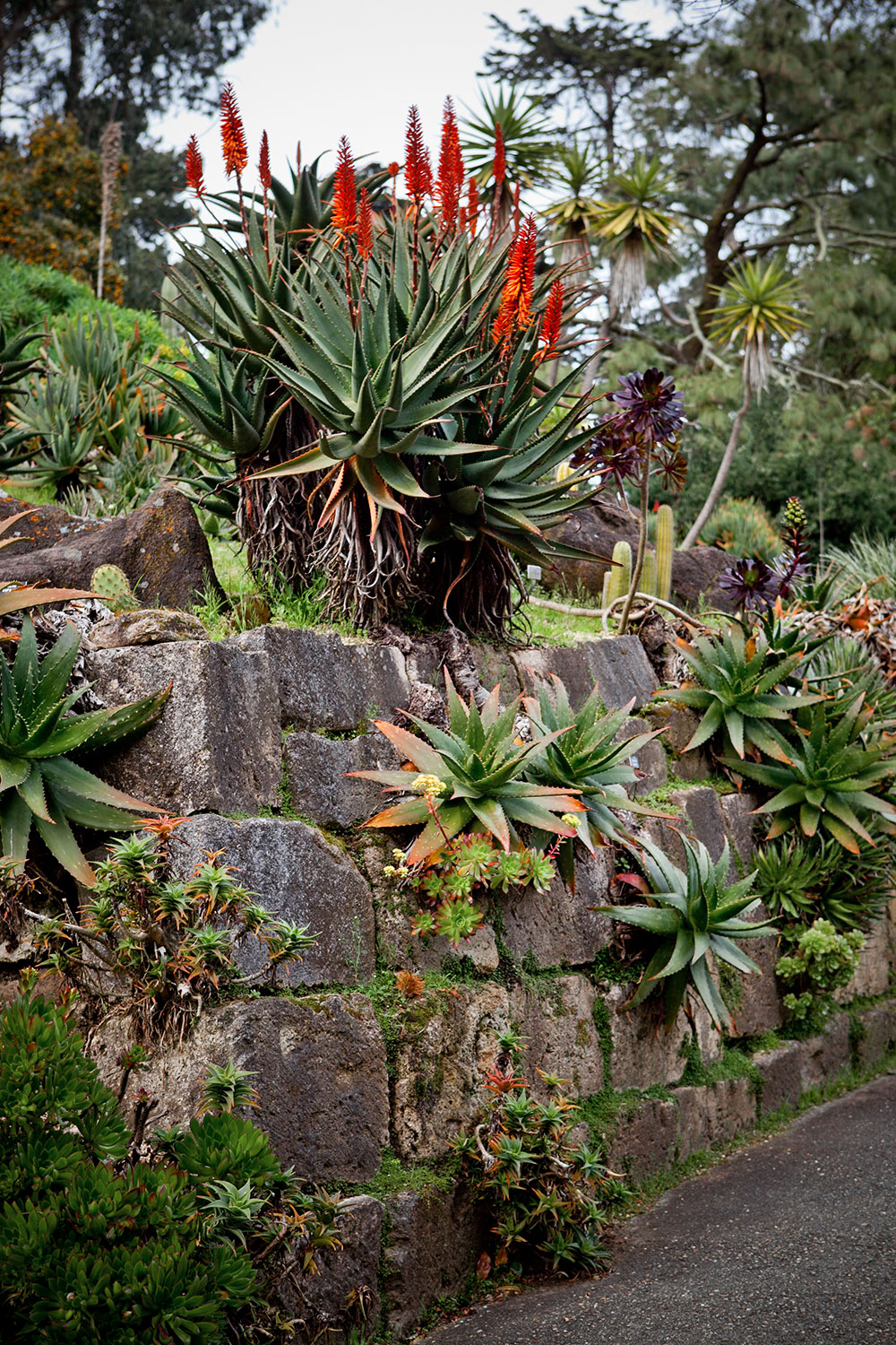 San Francisco Photos San Francisco Photos