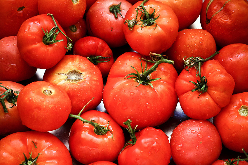 Homemade Tomato Sauce 3 Homemade Tomato Sauce 3