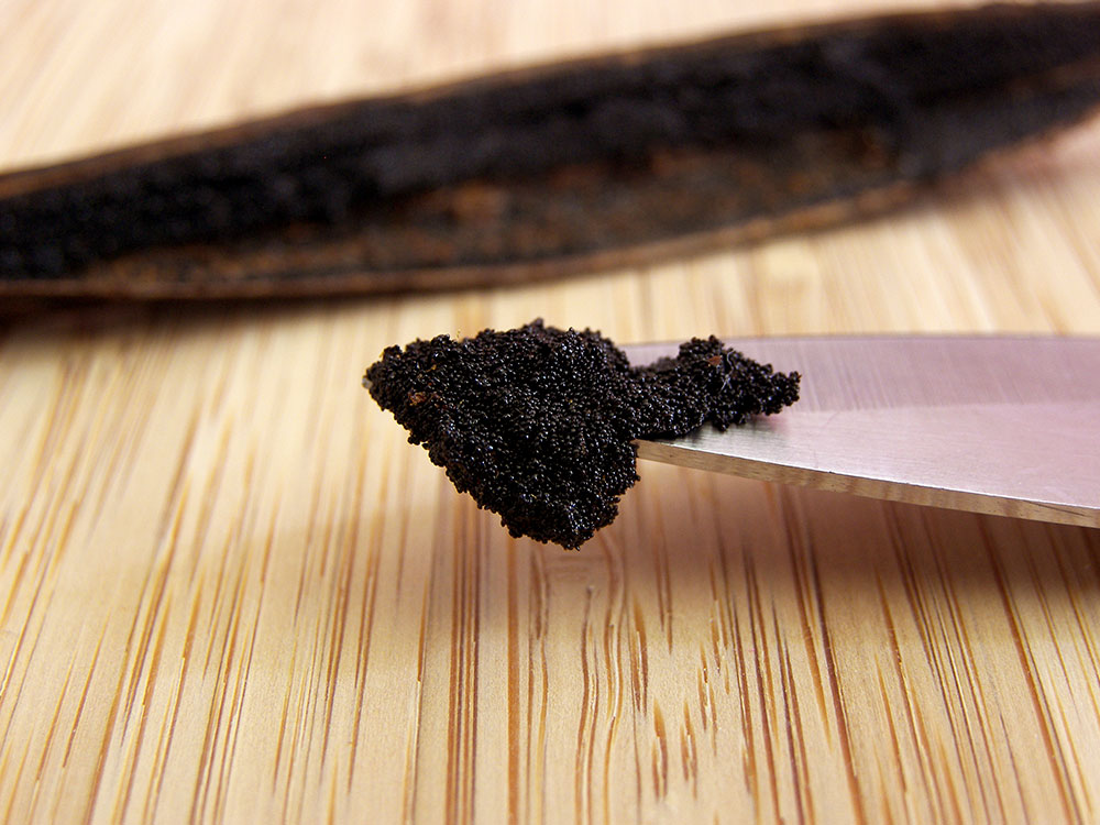 Vanilla Bean Caviar Vanilla Bean Caviar