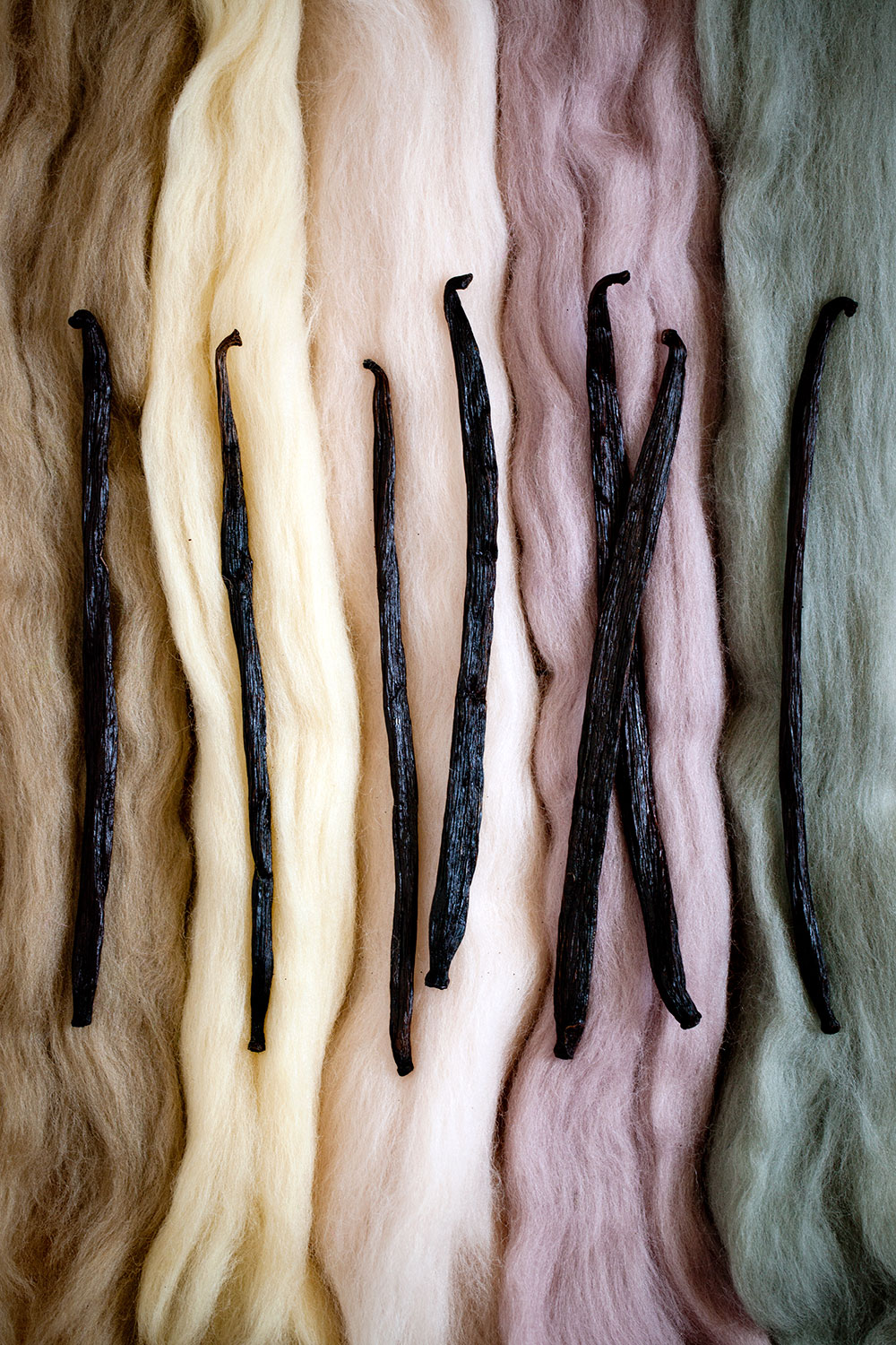Vanilla Beans Vanilla Beans